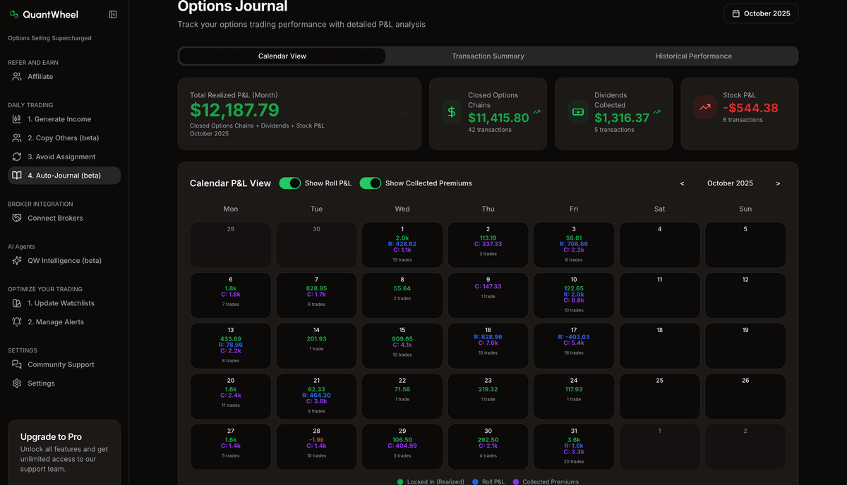 Options trading journal calendar view showing monthly profits, losses, and portfolio income from options trades with visual tracking of performance patterns. The journal shows premium decay, strike proximity, and expiration timing across call and put positions.